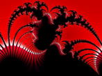image fractale